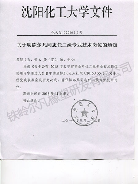 沈陽化工大學(xué)2級崗聘任通知